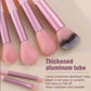 Premium Pink Makeup Brush Set (13 Pcs) with Storage Pouch – Soft Synthetic Fiber Brushes for Foundation, Powder, Blending & Eyeshadow